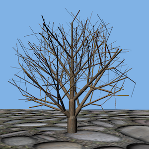 Tree with all extra credit elements