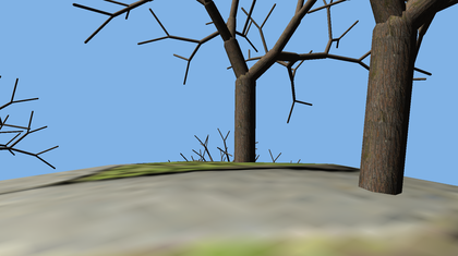 first person view