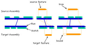 Atalanta Feature Projection