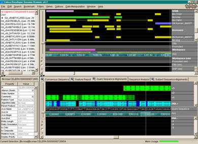 Genome Browser - Alignment View