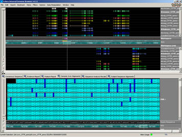 Genome Browser - Human CFTR Region