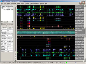 Genome Browser - Rat CFTR Region